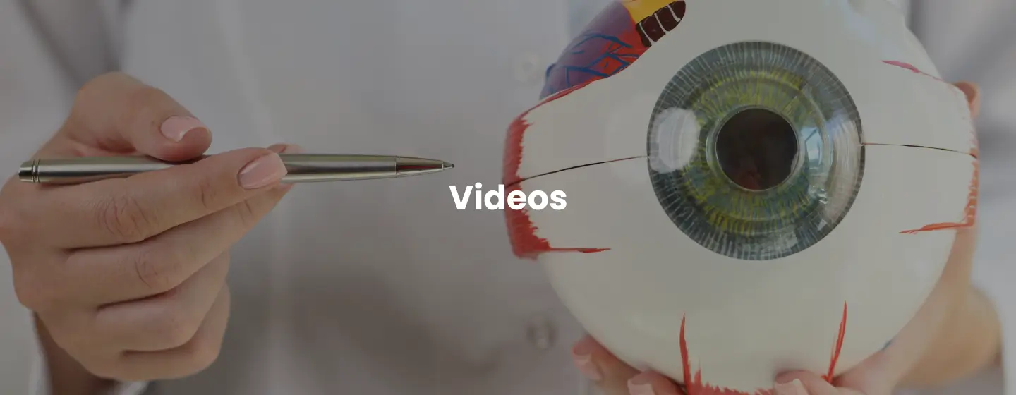 Video Gallery